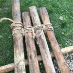 53213ae8-ad34-47b9-9c91-2ea98302b516