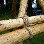 81be6e07-b36c-42bb-b055-de8d77a26c70